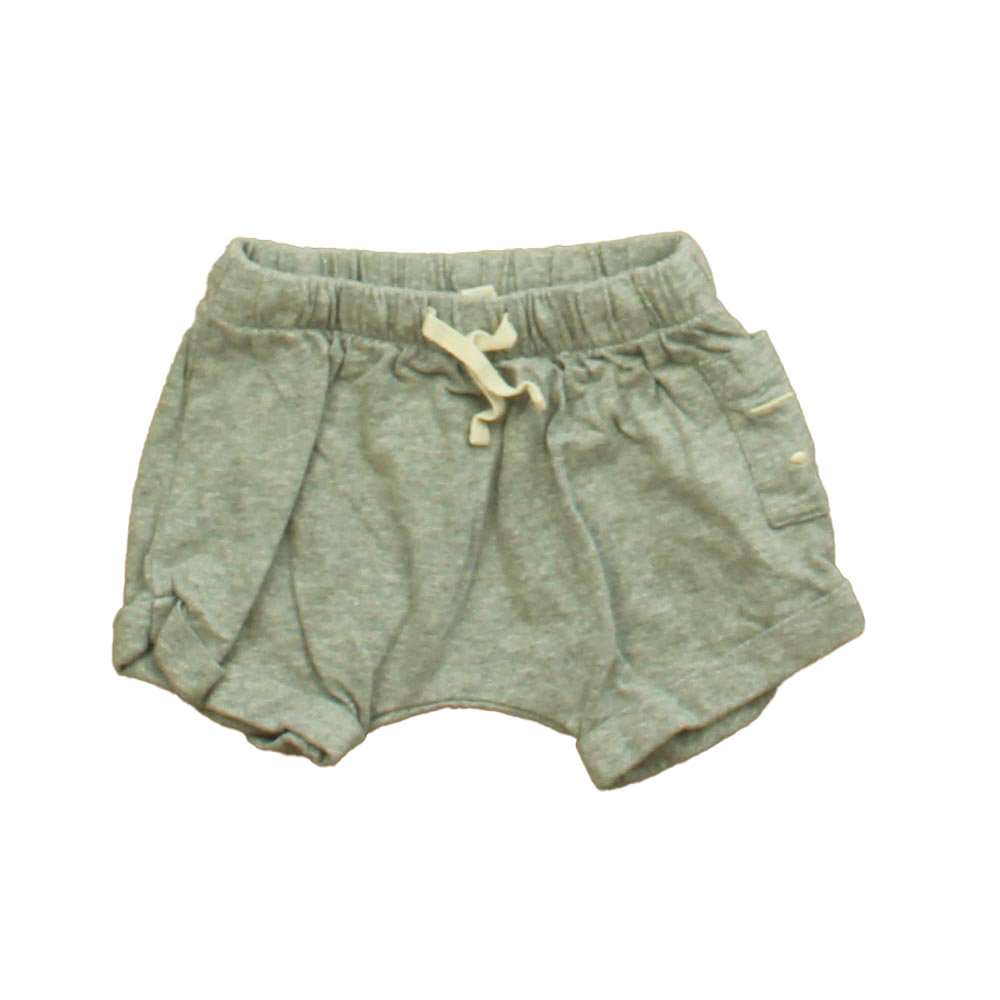 Gray Label Boys Gray Shorts size: 3-6 Months